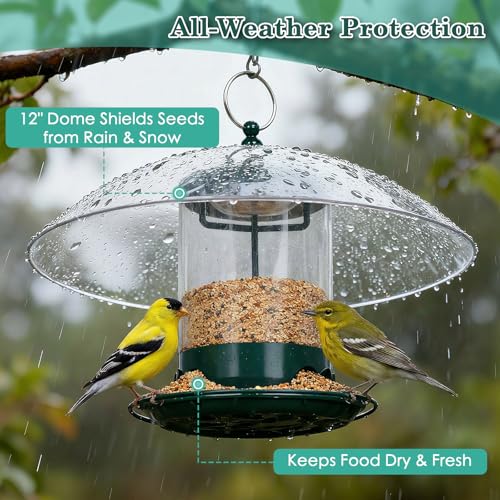Gbekery Metal Bird Feeder for Outdoor Hanging with 12” Weatherproof Dome, Weather Resistant Wild Bird Feeder with 360 Degree Feeding Tray, Green - color: Green with Transparent Dome