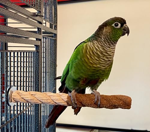 Polly's Sand-E-Rope Safety Bird Perch Toy-Trims Nails & Beak-Promotes Healthy Feet-Safe Non-Toxic-Bird Supplies for Bird Cages (Brown, Small) - color: Brown, size: Small