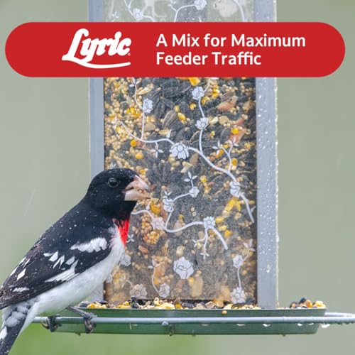 Lyric Supreme Wild Bird Seed - Wild Bird Food Mix with Nuts & Sunflower Seeds for Outside Feeders - Attracts Many Beautiful Songbirds - 4.5 lb bag | Wild Bird Food Mix with nuts and sunflower seeds for outside feeders - Attracts many beautiful songbirds