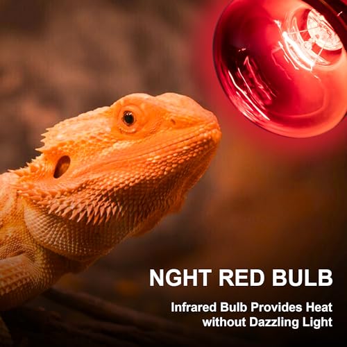 Heat lamp Bulbs Day & Night Combo, 100 Watt UVA Daylight Basking Spot Light and Red Infrared Heating Light for Bearded Dragon, Turtle, Lizard, Snake, Tortoise, Chameleon, Amphibians - 2 Pack - size: Red + White
