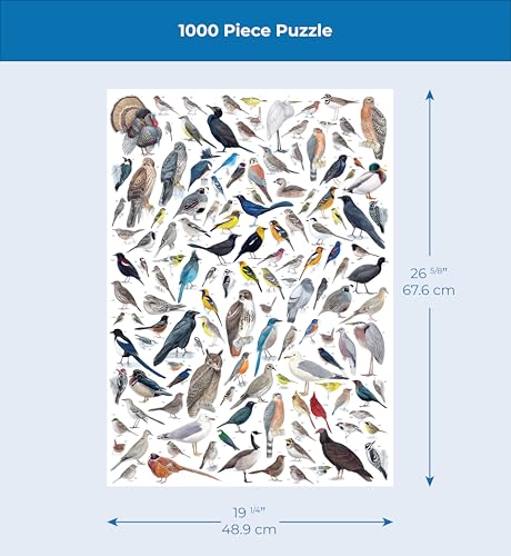 New York Puzzle Company - Cornell Lab Birds of Western North America - 1000 Piece Jigsaw Puzzle for Adults by Pedro Fernandes - color: Birds of Western North America 1000 Piece