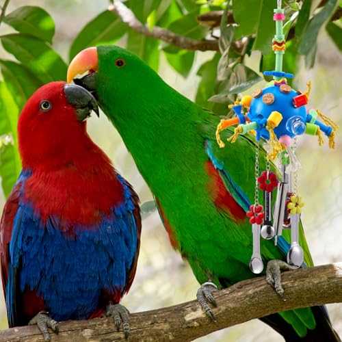 Seenelling 3 Pcs Extra Large Bird Toys for Parrots, Ring and Ball | Multicolored Natural Wooden Blocks & Beads Bells, Bird Cage Chewing Toys for Large Medium Macaws African Grey Cockatoos - style: Ring and Ball