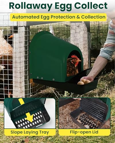 Roll-Out Chicken Nesting Boxes - 5-Pack Plastic Nest Boxes for Chickens, Hens & Ducks - Egg Laying Boxes with Perch and Roll Away Egg Collection for Coop - color: Chicken Nesting Box(5packs)