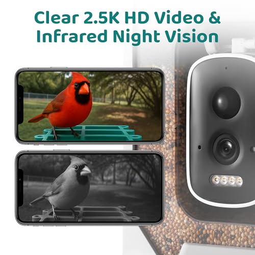 Happy Birdy Smart Bird Feeder with Camera - 2.5K HD Video, Wild Bird Feeder with Wall Mount & Pole Strap Kit, Free AI App IDs 10K+ Birds, Solar Power Panels, Infrared Night Vision, Weatherproof IP67