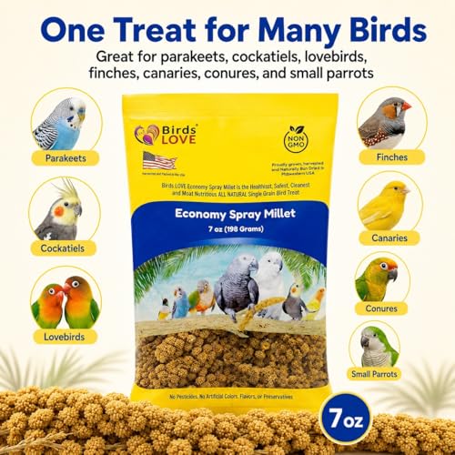Birds LOVE Economy Spray Millet for Birds, 7 oz, GMO-Free Natural Millet Spray Treat, Stem-Reduced Edible Tops, Grown in USA, for Parakeets, Cockatiels, Lovebirds, Finches, Canaries & Small Parrots