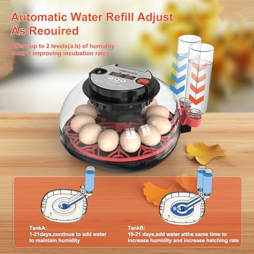 Egg Incubator for Hatching Eggs, 12-Egg Automatic Chicken Incubator | Small Incubator with LED Candler, Auto Turn & Humidity Control for Quail Duck Goose Eggs, STEM Classroom, Farm, 360° Airflow