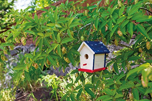 Beetle & Bee Bird House Kit for Kids, Build A Wooden DIY Outdoor Craft Set | Birdhouse Kits For Kids To Build, Paint Your Own Wooden Bird House Craft With 4 Colors, Brush, Glue, 7 Pieces, Chain, Ages 5+ - style: Paint a Bird Base