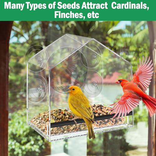 Window Bird Feeder with Strong Suction Cups - Removable Tray | Extra deep 4.35" detachable tray, 2.36" heavy duty suction cup, clear bird feeder for window, fits finches, cardinals - color: Clear, size: 4.35IN