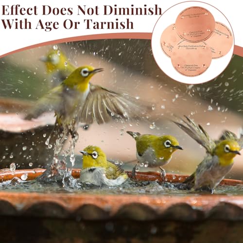 8 Pcs 4" Bird Bath Copper Disc, 0.6mm Thick | For Outdoor Birdbath Bowls Cleaner, Chemical-free Purification, Reinforced with 4 Point Support, Helps Prevent Algae - style: Classic