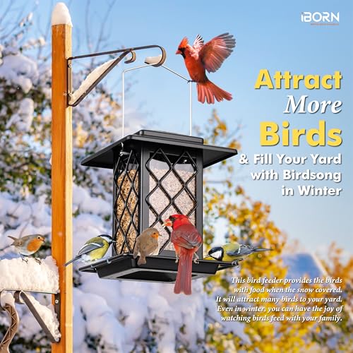iBorn Bird Feeders for Outdoors, Metal Bird Feeder, Wild Bird Feeders for Cardinal, 2.4LBS Capacity,18cm Large Roof, Lantern Style, Black - color: Black
