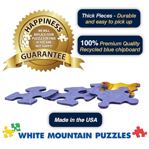 White Mountain Puzzles Birds of the Backyard - 1000 Piece Jigsaw Puzzle | Large Pieces, Gift for Adults and Family, 24"x30" in, Colorful Spring Bird Collage