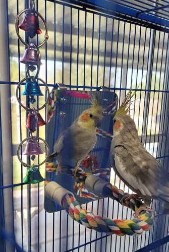 10.6" Bird Mirror with Rope Perch Bird Toys Swing, Comfy Perch for Greys Amazons Parakeet Cockatiel Conure Lovebirds Finch Canaries - size: 10.6 inch