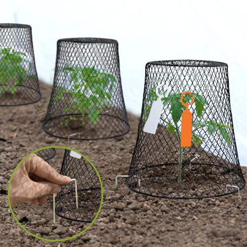 10 Pcs 9.13"×9.13" Chicken Wire Cloche Plant Covers Garden Netting Metal Heavy Duty Plant Protectors from Animals for Keeping Bunnies Chicken Squirrels Birds Other Out