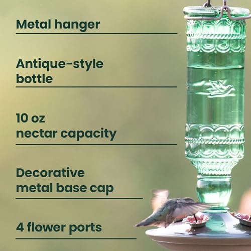 Perky-Pet Antique Glass Bottle Hummingbird Feeder, 10 oz Capacity, Green | 4 Feeding Ports for Outdoors Hanging Bird Feeders, Backyard Garden Décor - style: Green Bottle