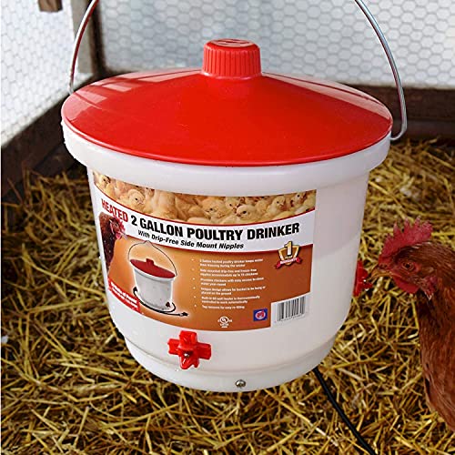 Farm Innovators HB-60P Thermostatically Controlled Heated 2 Gallon Plastic Outdoor Year Round Poultry Chicken Water Bucket Drinker, White/Red | Thermostatically controlled to keep water from freezing, side mounted drip-free/freeze-free nipples for up to 1
