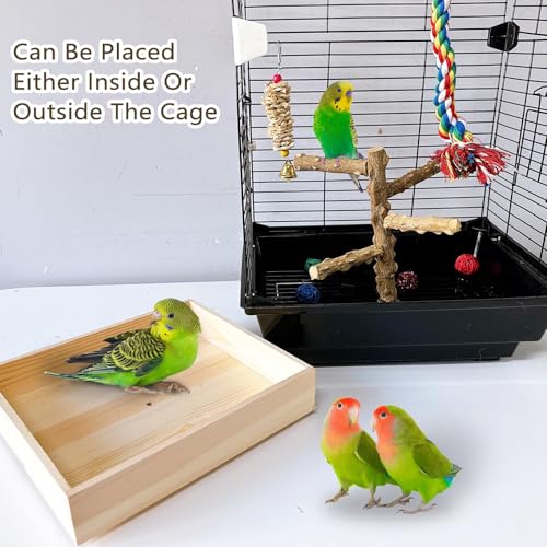 Natural Wood Bird Perch Stand Playground Parrot Toys Bird Cage Accessories | Portable Tabletop parrot perch with Potty Tray,Climbing Training Platform for Parakeets Lovebirds Canaries Cockatiels Conure