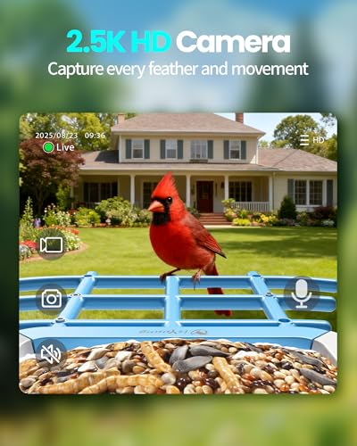 G11 Smart Bird Feeder with Camera, 2.5K, AI Bird ID, 5W Solar, Blue | AI identifies 16,000+ species; 170-degree view, dual night vision, 5000mAh battery, IP65 and 2.4GHz WiFi. - color: Blue