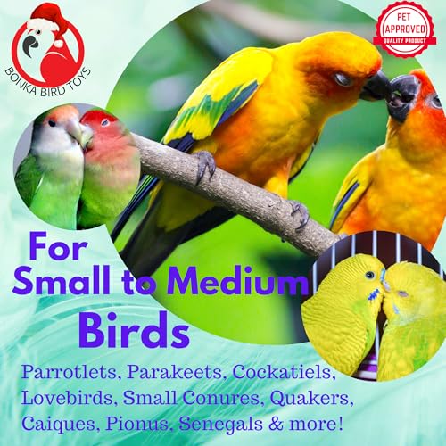 Bonka Bird Toys 2726 Christmas Elf Duck 7" x 4" Crinkle Paper and Vine Holiday Foraging Toy for Small to Medium Birds Cage Hanging Lovebirds, Conures, Parakeets, and Similar