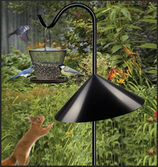 Queension Squirrel Proof Baffle, 19-inch Wide Squirrel Guard Stopper for Outdoor Bird Feeder Poles or Outside Shepherd Hooks, Save Bird Houses from Squirrels, Raccoons, and Rodents, Black, 1 Pack… - style: Pole Mount