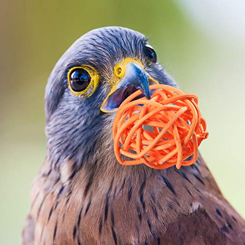 Sumind 80 Pieces Parrot Toy 1.2 Inch Wicker Rattan Balls Wooden Blocks Bird Chewing Toys Mini Wood Chips Pet Parrot Cage Accessories for DIY Playing Chewing Shredding Mixed Bird Toys, Random Color - style: Rattan Balls