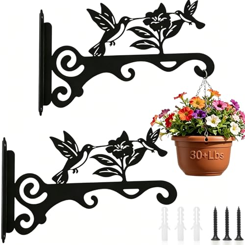 Elegant Bird Pattern Wall Hooks - 10/12/14 Inch Metal Plant Hangers for Indoor & Outdoor - Rust-Resistant Bracket for Plants, Feeders, Chimes, Lanterns (2, Black, 12 inch) - color: Black, size: 12 Inch