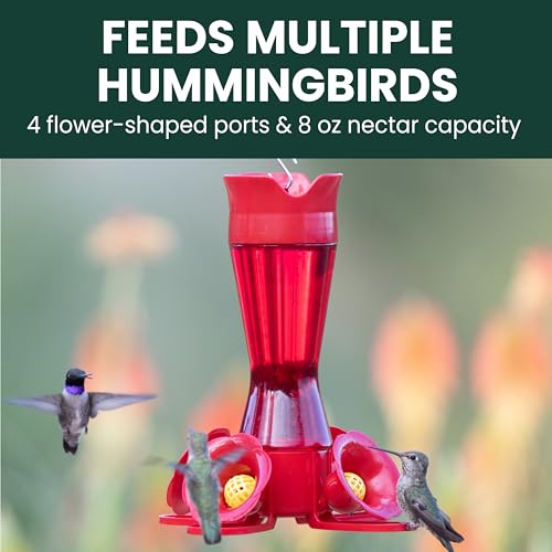 Perky-Pet Red Pinch-Waist Plastic Hummingbird Feeder, 8 oz Capacity | Built-in Bee Guards and Ant Moat for Outdoor Bird Feeding Station and Backyard Wildlife, Hummingbird Feeders for Outdoors - size: No Size