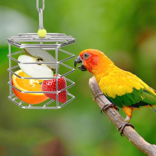 Hypeety Parrot Foraging Feeder, Stainless Steel, 4.09 x 4.09 x 3.85 in, Bird-safe, Dishwasher Safe, Filled with Nuts, Fruit or Veggies - size: Feeder