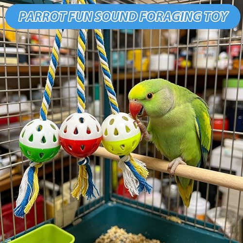 Bird Foraging Ball Toys with Rope, Parrot Feeder Toys for Conures Parakeets Cockatiel, Foot Talon Chewing Training Rattle Bell Balls Parrot Cage Toys (Medium, Ordinary)