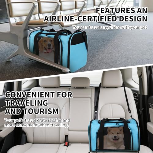 Pet Carriers Soft-Sided Airline Approved Carrier Bag for Small Cats Dogs (Medium,Blue) - color: blue, size: 17.0"L x 11.0"W x 11.0"H