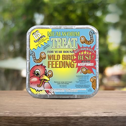 C&S Mealworm Treat Suet Treat, Suet Cakes for Wild Birds, Pack of 8 | Suet cakes for woodpeckers, made with real insects, use in a suet feeder year-round - style: Mealworm Treat, 8 Pack