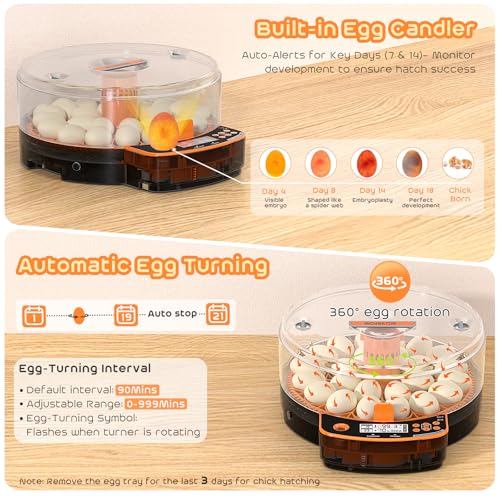 AsFrost Automatic Chicken Egg Incubator, Egg Incubator 24 Eggs | Digital Incubator with Dual Modes,Temp & Humidity Control,Auto Turner,Egg Candler, Incubator for Hatching Quail & Poultry Egg