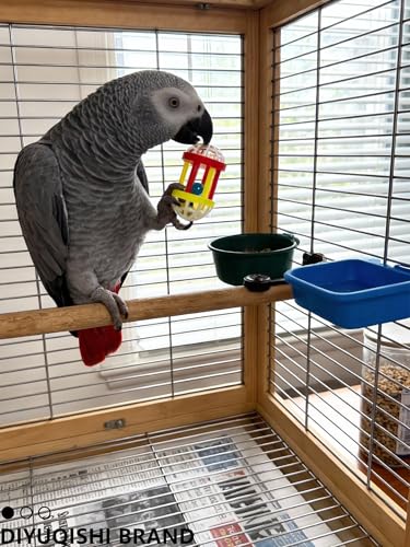 10-Pack Bird Toys for Parrots – Natural Rattan and Plastic Bell Balls | Safe, Fun Cage Decor, Foot Exercise, 1.5'' - 5.5'' - size: 1.5'' - 5.5''