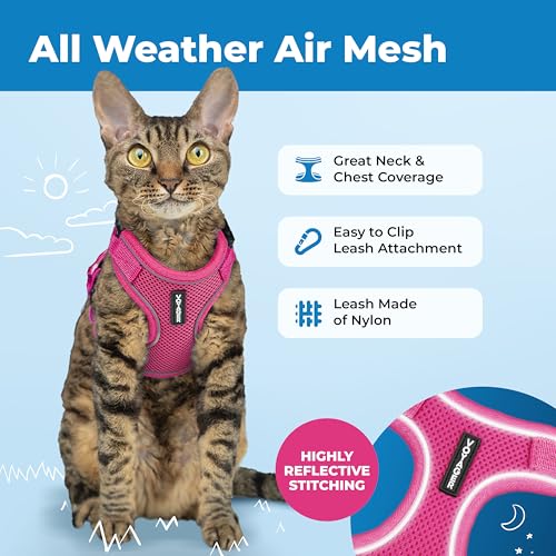 Voyager Escape-Proof Step-in Lock Cat Harness & 5ft Neoprene-Handle Leash Set All-Weather Mesh with Reflective Stitching for Small to Large Cats by Best Pet Supplies, Fuchsia (327), XS - color: Fuchsia (327), size: XS (Chest: 13 - 16")