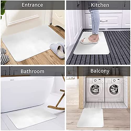 Welcome to Our Coop Doormat - Chicken and Farm Animal Home Decor Rug for Outdoor Entrance - Indoor Mat 16x24 Inch