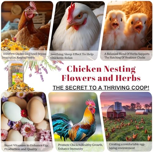 21oz Chicken Nesting Herbs for Chicken Coop - Nesting Box Herbs with 12 Dried Floral Herbs for Chickens, Coop Refresher for Chickens & All-Season Bedding for Backyard Laying Hens, Chicks