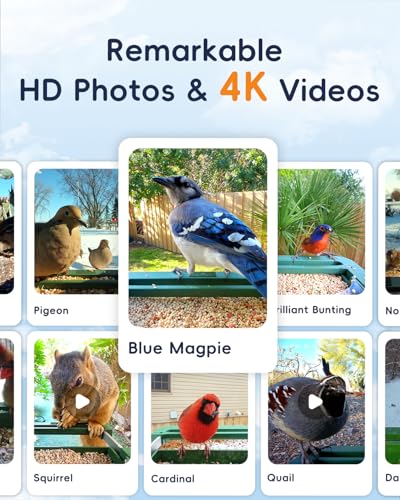 Bird Feeder with Camera, 32MP Photos & 4K Video with Live View, 5GHz/2.4GHz WiFi, AI Identify Birds Species and Instant Arrival Alerts for Bird Lovers