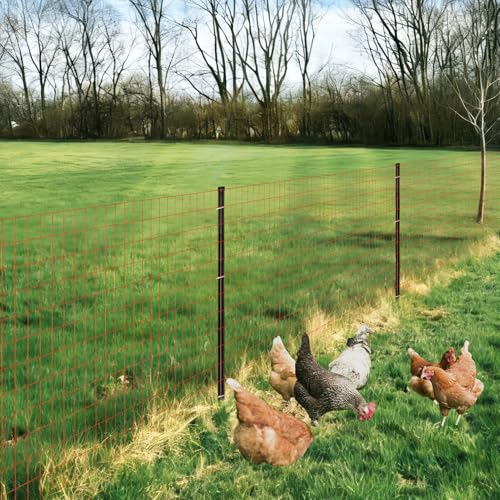Red PVC Coated Welded Wire Fence 36" x 50' Roll, 2"x4" Mesh, 14 Gauge | Vinyl Coated Garden Fencing, Yard & Pet Barrier, Chicken Wire Fencing, Dog Enclosure Mesh, Vegetable Plant Protector - color: Red, size: 2''x4'' 14GA 36''x50'