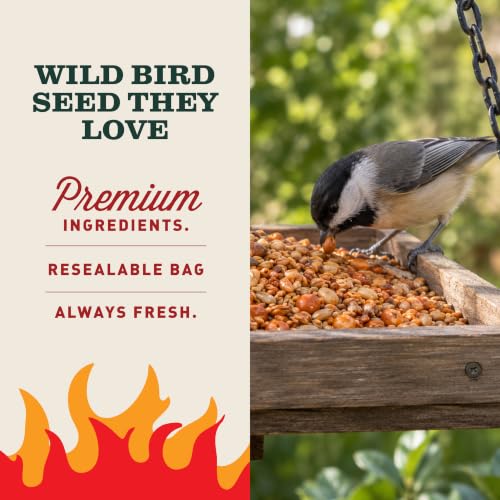 Mr. Bird Flaming Hot Feast Small Loose Seed Bag 2lbs | Hot Pepper Wild Bird Seed for Outside Feeders | Prevent Squirrels | Spicy Bird Food | Backyard Birds | Spicy Bird Seed for Outside Feeders | Premium Blend of Mealworms, Peanuts, Hot Pepper | Keeps Squ