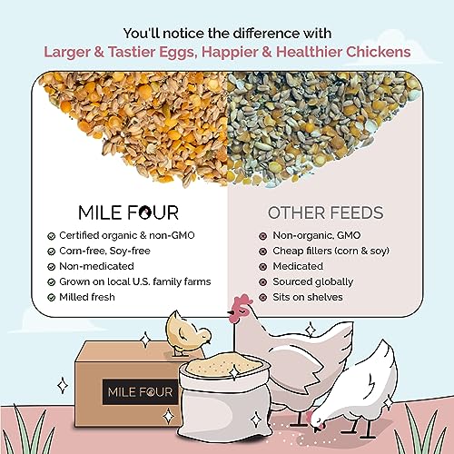 Mile Four Organic Chicken Feed, Layer Whole Grain, Non-GMO, US Grown 2 lbs | 16% Protein; Corn & Soy-Free; USA Grown; Non-Medicated; No Fillers or Additives; Supports Egg Production; Family Farm Sourced - size: 2 Pound (Pack of 1), style: Whole Grain