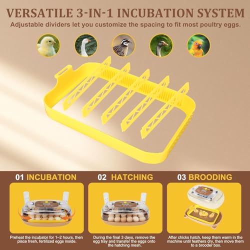 Gen III - 24 Egg Automatic Incubator, Stage-Based Adaptive Humidity with Auto-Refill, Stable Temp Control, Flexible Spacing, Adjustable Auto Turning & Lockdown, Custom Incubation Days, Candler, Alarm - size: 24 egg-brown