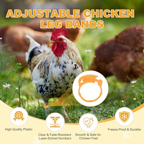 M METERXITY 50-Pack Adjustable Chickens Leg Bands, 17-22 mm Plastic Poultry Identification Chicken Leg Rings for Turkey/Duck/Goose/Chicks, Colorful Numbered Foot Clip on Tags [Orange] - color: Orange