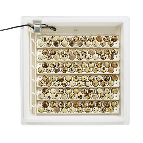 Farm Innovators 3400 Quail Rail Fits 240 Small Eggs, Replaces Standard Chicken, Goose, & Duck Trays in Model 3200 Automatic Egg Turner (12 Pack)