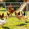 Large Chicken Roosting Bars, 55 Inch Chicken Perch for Coop with Metal Frame, Sturdy Roosting Ladder for Hens, Chicken Coop Accessories and Toys for Backyard Poultry, Easy to Clean - size: 55" L x 40" W