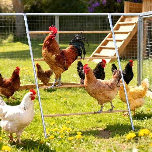 Large Chicken Roosting Bars, 55 Inch Chicken Perch for Coop with Metal Frame, Sturdy Roosting Ladder for Hens, Chicken Coop Accessories and Toys for Backyard Poultry, Easy to Clean - size: 55" L x 40" W