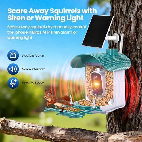 Smart Bird Feeder with Camera : 2K HD Video Live Stream, AI Birds Species Identification ＆ Instant Arrival Alerts, Solar Bird Feeder Camera for Outdoor Backyard, Ideal Gifts for Families nature lovers - color: Green