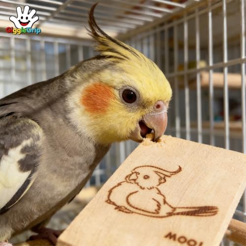 16 Pack Pine Wood Bird Chew Toys, Wood Slices for Active Chewers | Natural wood chew slices for parakeets, cockatiels, conures and lovebirds; each slice measures 3.9 x 2.1 in. - style: 16 Large Slices