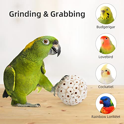 andwe Bird Toy Sola Ball Chew Shredding Toy, Pack of 6 | Fun & Easy to Shred, Natural Soft Foraging Ball For Cockatiel Conure Quaker Parrot Budgie Parakeet - size: Style 1 (Pack of 6)