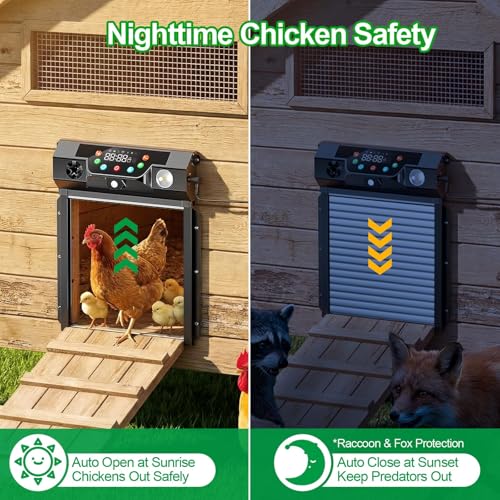 Automatic Chicken Coop Door Solar Powered, Roll-Up Chicken Door with Timer & Light Sensor, Anti-Pinch Safety Auto Chicken Door with Remote Control, Weatherproof Aluminum Coop Door (Black)