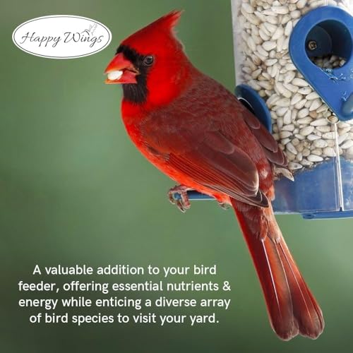 Happy Wings 10LB Sunflower Heart & Chips (Kernels) Bird Food, No Waste | No Mess Feeding, High in Oil & Protein, High Fat & Energy Content, USDA & BRC-GS Approved, Cardinals, Chickadees, Finches - size: 5 Pound (Pack of 2)