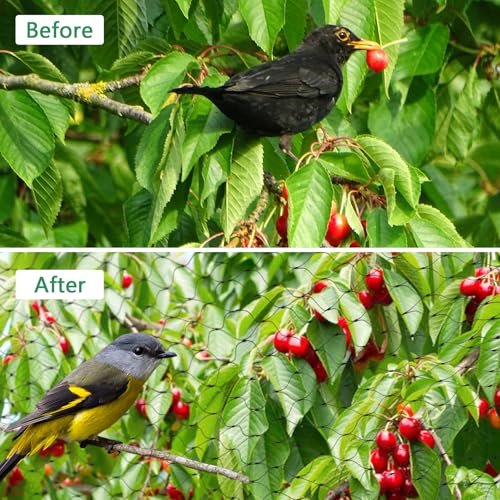 Unves 13 x 50 Ft Bird Netting for Garden, Fruit Tree Garden Netting | Heavy Duty Bird Net Protect Fruit Trees and Vegetable Plants Against Birds and Other Animals - color: Black, size: 13 x 50 Ft